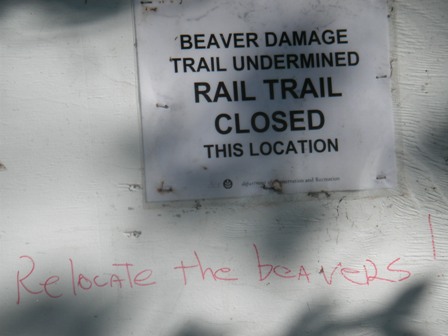 Norwottuck rail trail